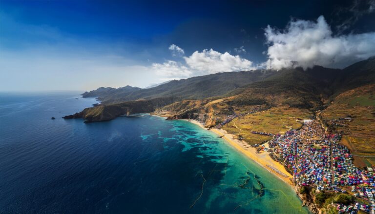 Playexch Online Betting Platform for Live Cricket Matches