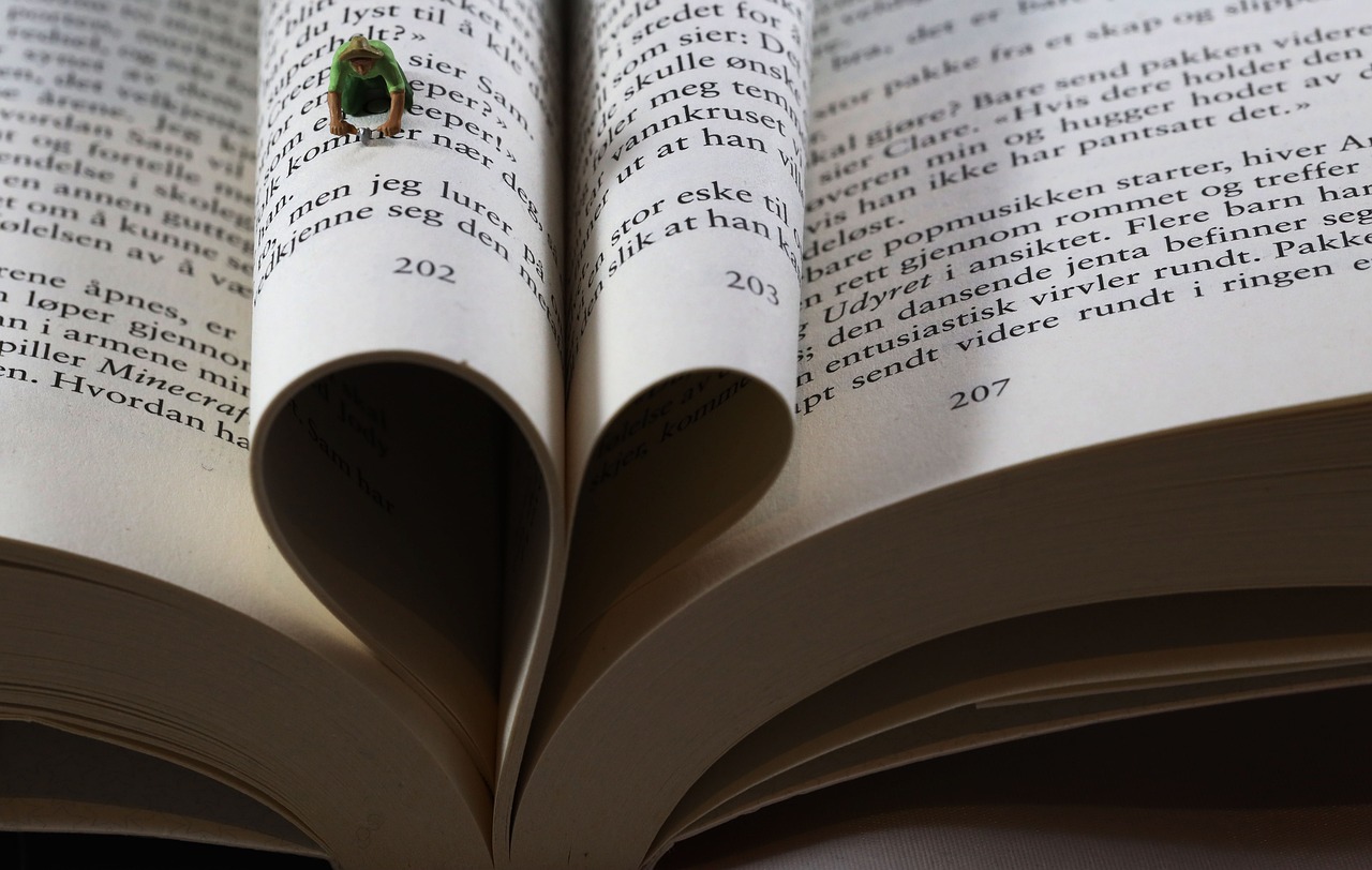 Playexch Review 2026: How Playexch 247 Redefines Online Gaming Exchanges