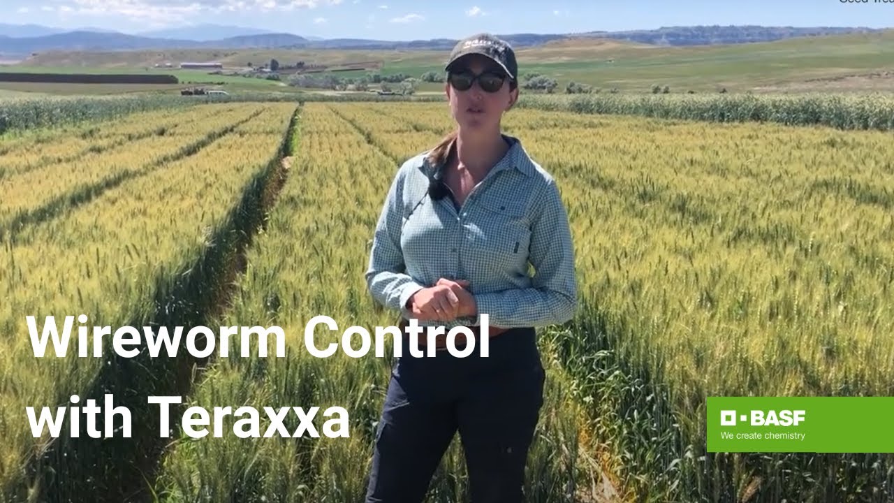 Laser 247: The Ultimate Guide to India’s Premier Online Laser Hair Removal Platform